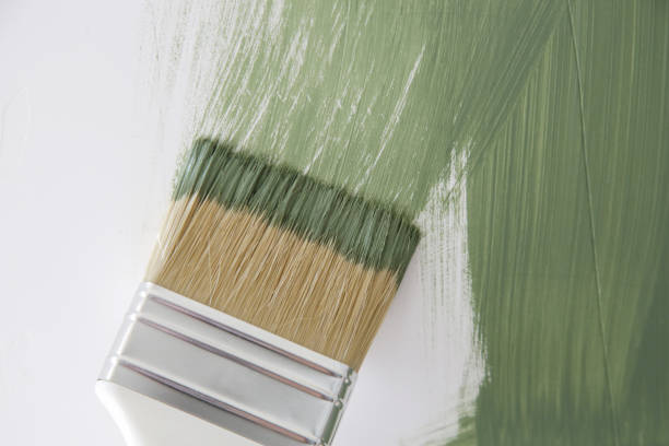 Best Mold Prevention Services  in Burns Harbor, IN
