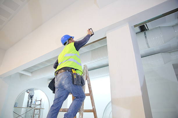 Best Mold Removal for HVAC Installations  in Burns Harbor, IN