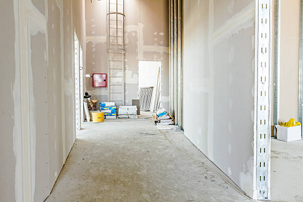 Best Commercial Mold Inspection  in Burns Harbor, IN