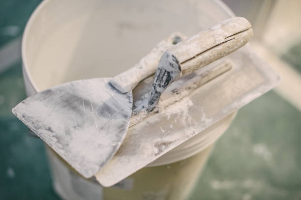 Best Emergency Mold Remediation  in Burns Harbor, IN