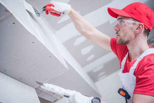 Best Basement Mold Removal  in Burns Harbor, IN